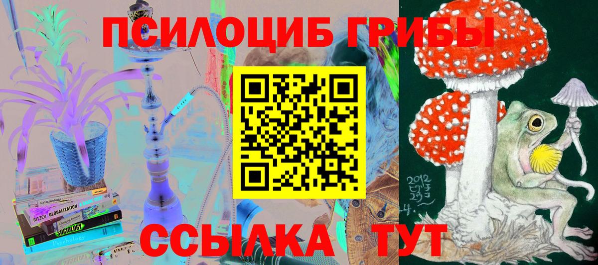 Курск  Псилоцибиновые грибы Psilocybe  Вход с VPN 